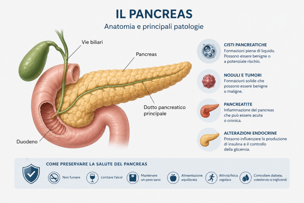 Patologie del pancreas: cisti, noduli, pancreatite e salute pancreatica